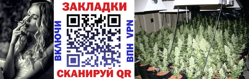 Где продают наркотики Болхов Марихуана  Cocaine  Псилоцибиновые грибы  МЕФ  ГАШ 