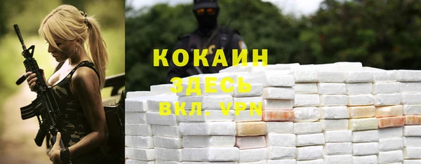 стаф Алзамай