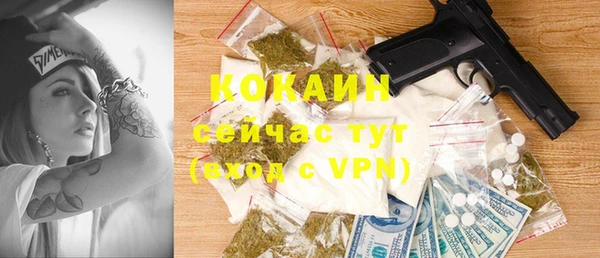 стаф Алзамай