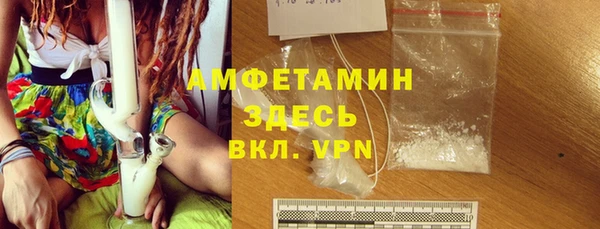 стаф Алзамай
