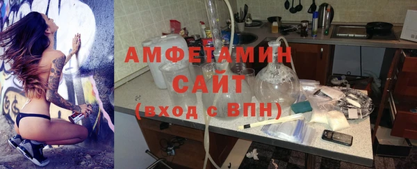стаф Алзамай
