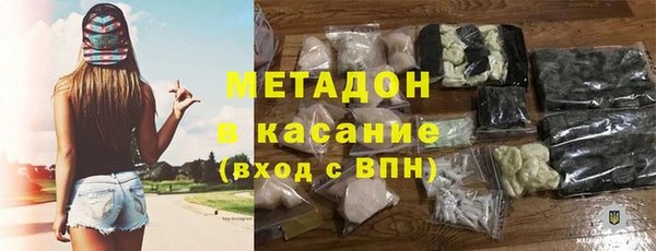 стаф Алзамай