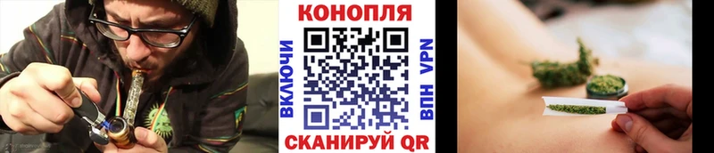 Канабис сатива  Болхов 